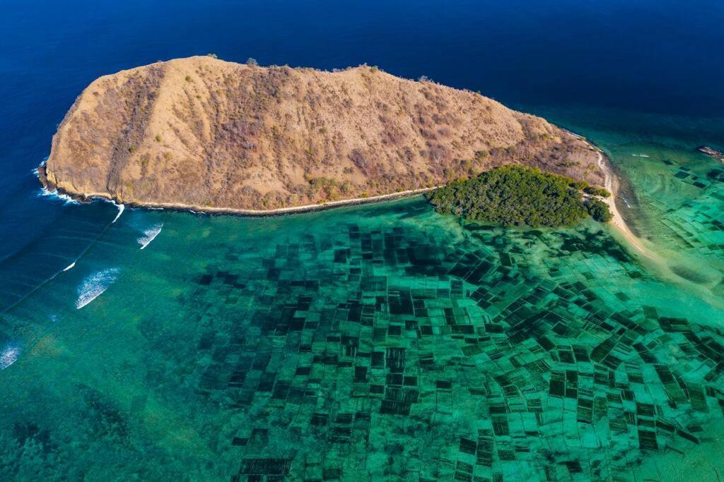 Beach-Front Sumbawa Surf House Lemonga Exterior photo